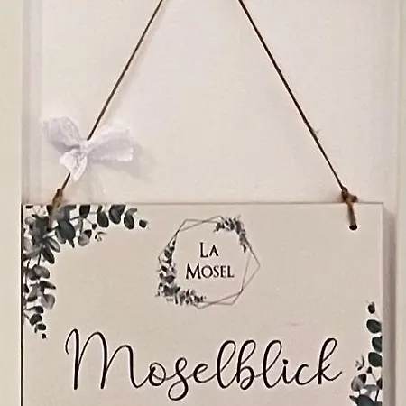 Moselblick Traumwohnung Im „la Mosel“ * 维宁根