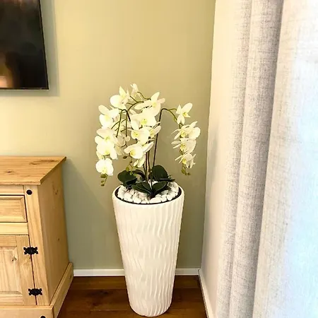 Moselblick Traumwohnung Im „la Mosel“ *