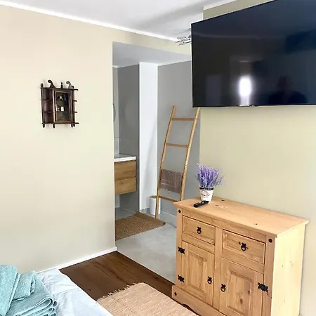 公寓 Moselblick Traumwohnung Im „la Mosel“ 维宁根