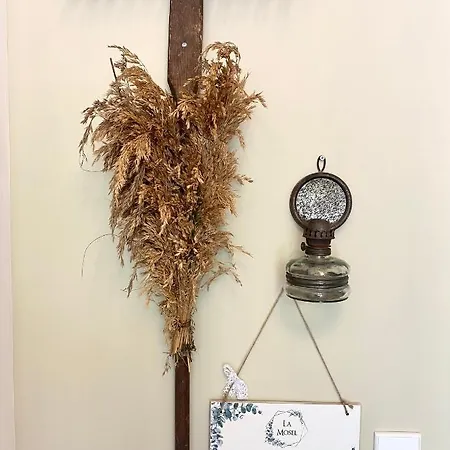 公寓 Moselblick Traumwohnung Im „la Mosel“ *