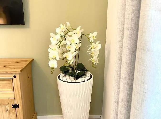 Moselblick Traumwohnung Im „la Mosel“ *